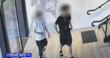 The pair of teens allegedly used a stolen Anytime Fitness member's pass to to sneak into the Port Melbourne gym on Friday January 16.