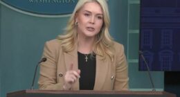 White House press secretary Karoline Leavitt lashed out at a journalist on Thursday (US time).