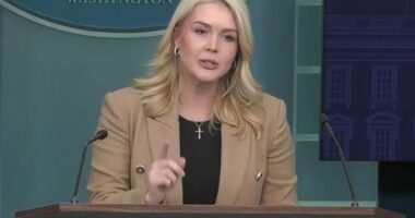 White House press secretary Karoline Leavitt lashed out at a journalist on Thursday (US time).