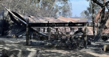 A major bushfire that has des﻿troyed homes and left three people missing in central Victoria has created scenes that a local firefighter has likened to an "atomic bomb".