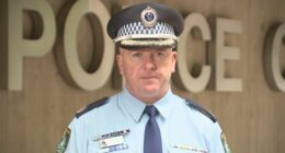 Assistant Commissioner Peter McKenna﻿.