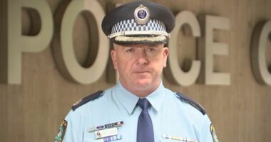 Assistant Commissioner Peter McKenna﻿.