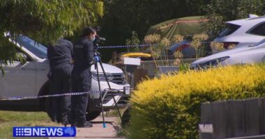 'She was defenceless': Melbourne father-of-four pleads guilty to wife's murder