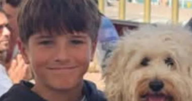 12-year-old Nico Antic was attacked by a shark in Vaucluse on Sunday.