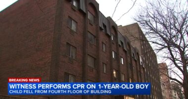 1-year-old boy dies after fall from Edgewater, Chicago building in 5800-block of North Sheridan Road: police department