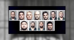 11 men facing felony charges in connection with Jacksonville cockfighting ring