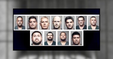 11 men facing felony charges in connection with Jacksonville cockfighting ring