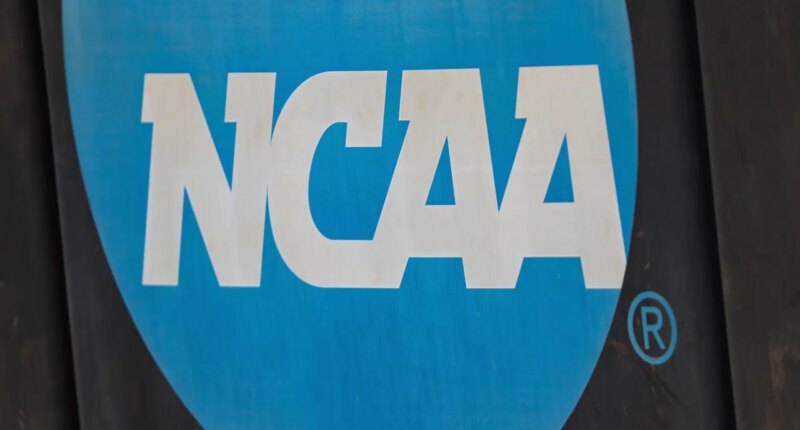FILE - NCAA logo displayed on the fence before an NCAA softball game between Jacksonville and FGCU, March 24, 2024, in Jacksonville, Fla. (AP Photo/Gary McCullough, File)