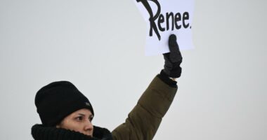 $1.5 million raised for Renee Nicole Good's family as nation reacts to fatal shooting by ICE agent