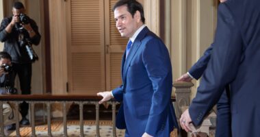 Denmark and Greenland seek talks with Rubio after the White House says again it wants the island