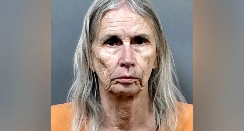Florida woman, 81, arrested in murder-for-hire plot after sharing plan with undercover detective, sheriff says