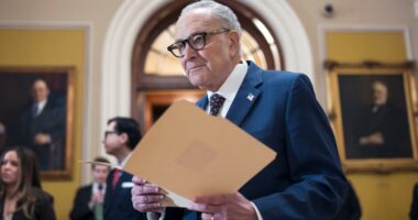 Senate leaders scramble to save bipartisan deal and avert partial government shutdown