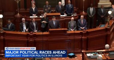 2026 elections: What to know about Illinois governor election, Chicago mayoral election and 2026 midterm elections