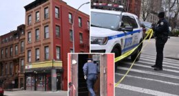 85-year-old woman stabbed to death in NYC home, grandson in custody: sources