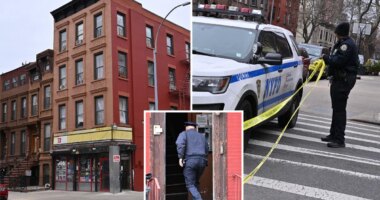 85-year-old woman stabbed to death in NYC home, grandson in custody: sources