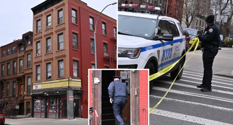 85-year-old woman stabbed to death in NYC home, grandson in custody: sources