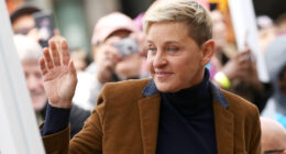 A Timeline Of The Brutal 'Cancellation' Of Ellen DeGeneres