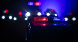 'A horror movie come to life' | Man arrested in Pennsylvania allegedly had hundreds of human remains in his home