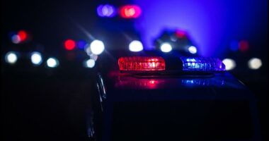 'A horror movie come to life' | Man arrested in Pennsylvania allegedly had hundreds of human remains in his home