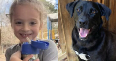 Alabama Boy Missing Since Wednesday Morning; Dad Arrested on Explosives Charges