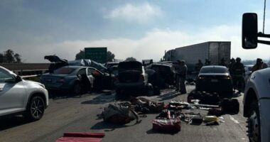 'Alive and late is better than the alternative': Fog causes deadly multi-car pileup in California