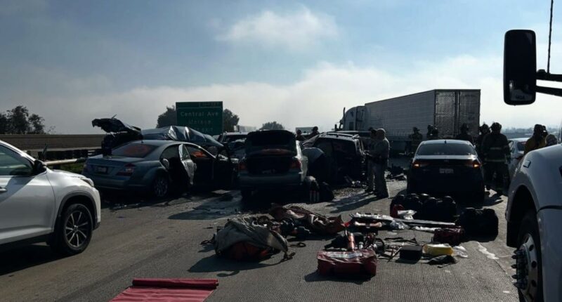 'Alive and late is better than the alternative': Fog causes deadly multi-car pileup in California