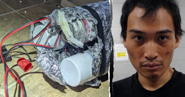 American extremist admits bankrolling ISIS terrorists, plotting US violence with homemade bomb: feds