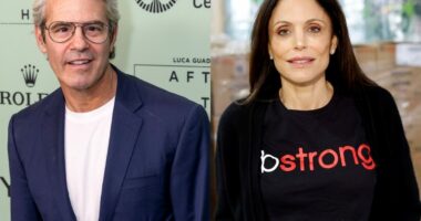 Andy Cohen Shades "Margarita Lady" Bethenny Frankel's TikTok Videos