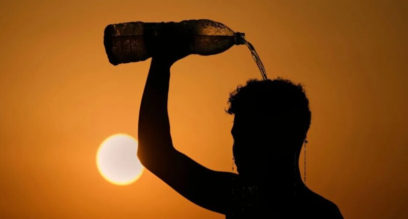 Another near-record hot year a 'warning shot': Scientists