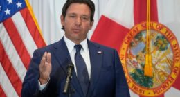 Anti-ICE Florida Woman 'Finds Out' After Alleged Assault on Trooper, Ron DeSantis Has Perfect Response