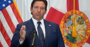 Anti-ICE Florida Woman 'Finds Out' After Alleged Assault on Trooper, Ron DeSantis Has Perfect Response