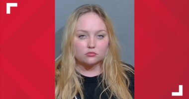 Arrest made in connection to stabbing at Brunswick home, police say