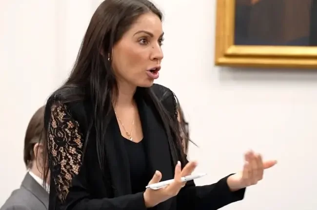 Attorney Monika Mastellone Wikipedia, Age, Bio, Paul Caneiro Trial |