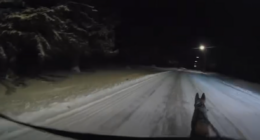 Atwood K9 helps save suspect’s life in extreme cold, police say