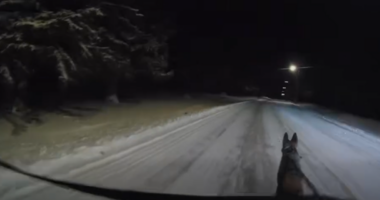 Atwood K9 helps save suspect’s life in extreme cold, police say