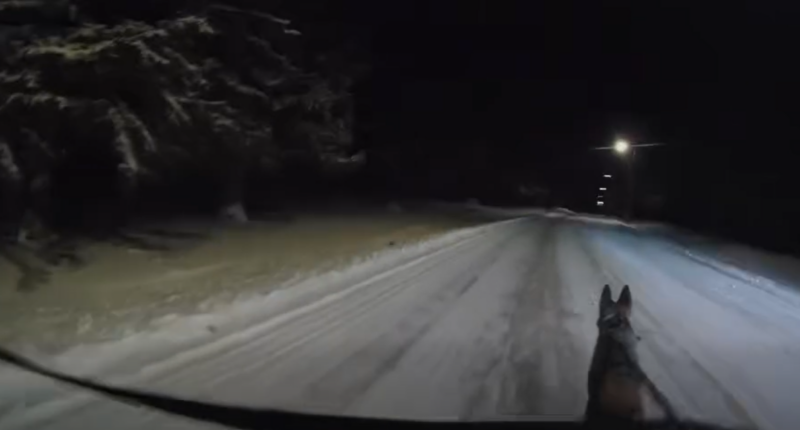 Atwood K9 helps save suspect’s life in extreme cold, police say