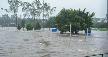 Cyclone Alfred hit Queensland and New South Wales earlier this year, and caused significant damage. Similar cyclones could hit Australia in the upcoming summer months.