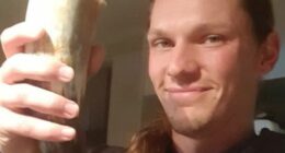 Australian father struck and killed by police car in London