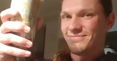 Australian father struck and killed by police car in London