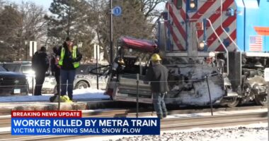 Bartlett Public Works employee David Hoday killed after Metra Milwaukee District West train hit snowplow at Oak, Railroad avenues