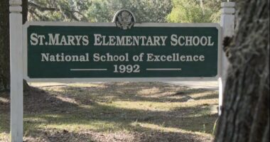 Bat infestation forces St. Mary's Elementary to extend relocation for safety, remediation