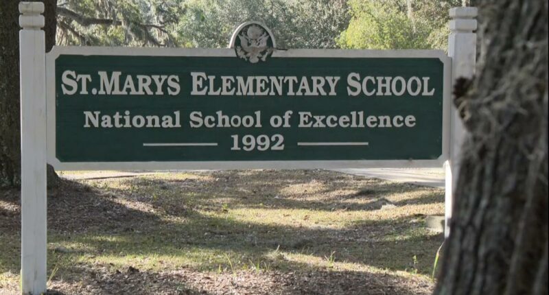 Bat infestation forces St. Mary's Elementary to extend relocation for safety, remediation