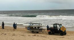 Beaches set to reopen in time for long weekend after shark attacks