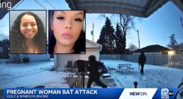 'Beat the baby out': Woman is all smiles after beating pregnant mother of 2 with baseball bat as she was heading out to warm up car, cops say