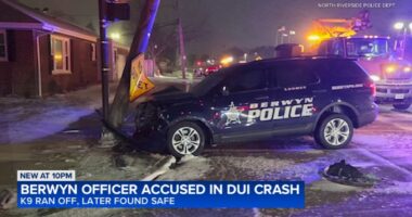 Berwyn police officer accused in DUI crash at Des Plaines Avenue and Country Club Lane, North Riverside police officials say