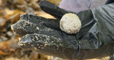 Debris balls have washed up on several NSW ﻿beaches again, but authorities are unsure whether they are related to the ones that were previously found along dozens of Sydney beaches.
