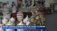Black-owned Chicago small business: Mama Africa's Marketplace in South Shore may be forced to close, owner Ifarinu says