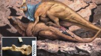 Bone-crushing dino hookups were all the rage in prehistoric eras