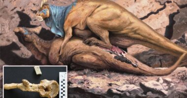 Bone-crushing dino hookups were all the rage in prehistoric eras