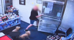 A Brisbane man who was just weeks out from cancer treatment has fought back with a machete to fend off violent robbers from his store.